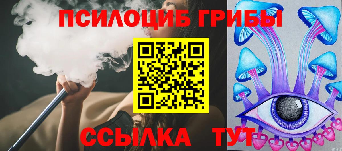 Северобайкальск  Псилоцибиновые грибы MAGIC MUSHROOMS  Вход с VPN 